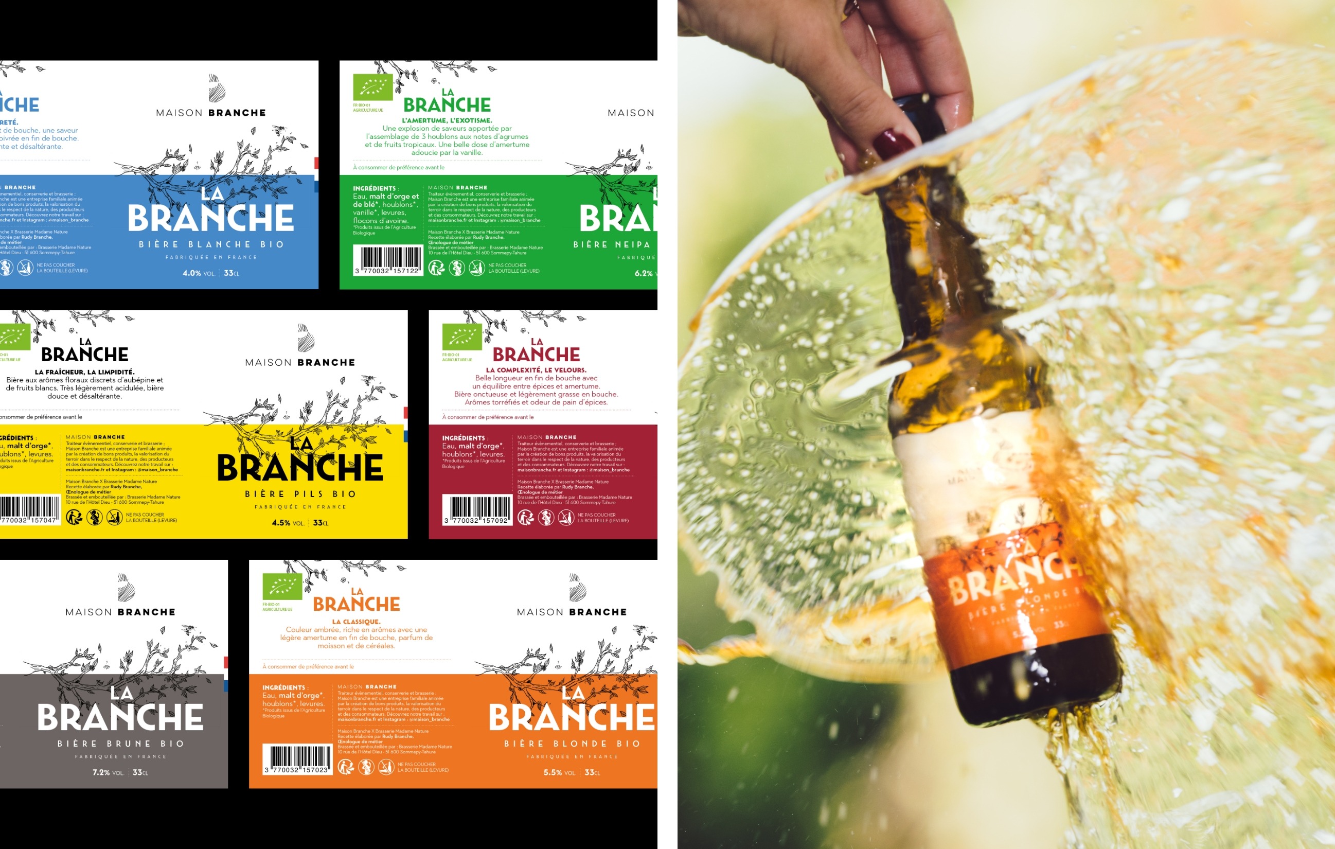 Etiquettes des bouteilles de bières de la brasserie Maison Branche