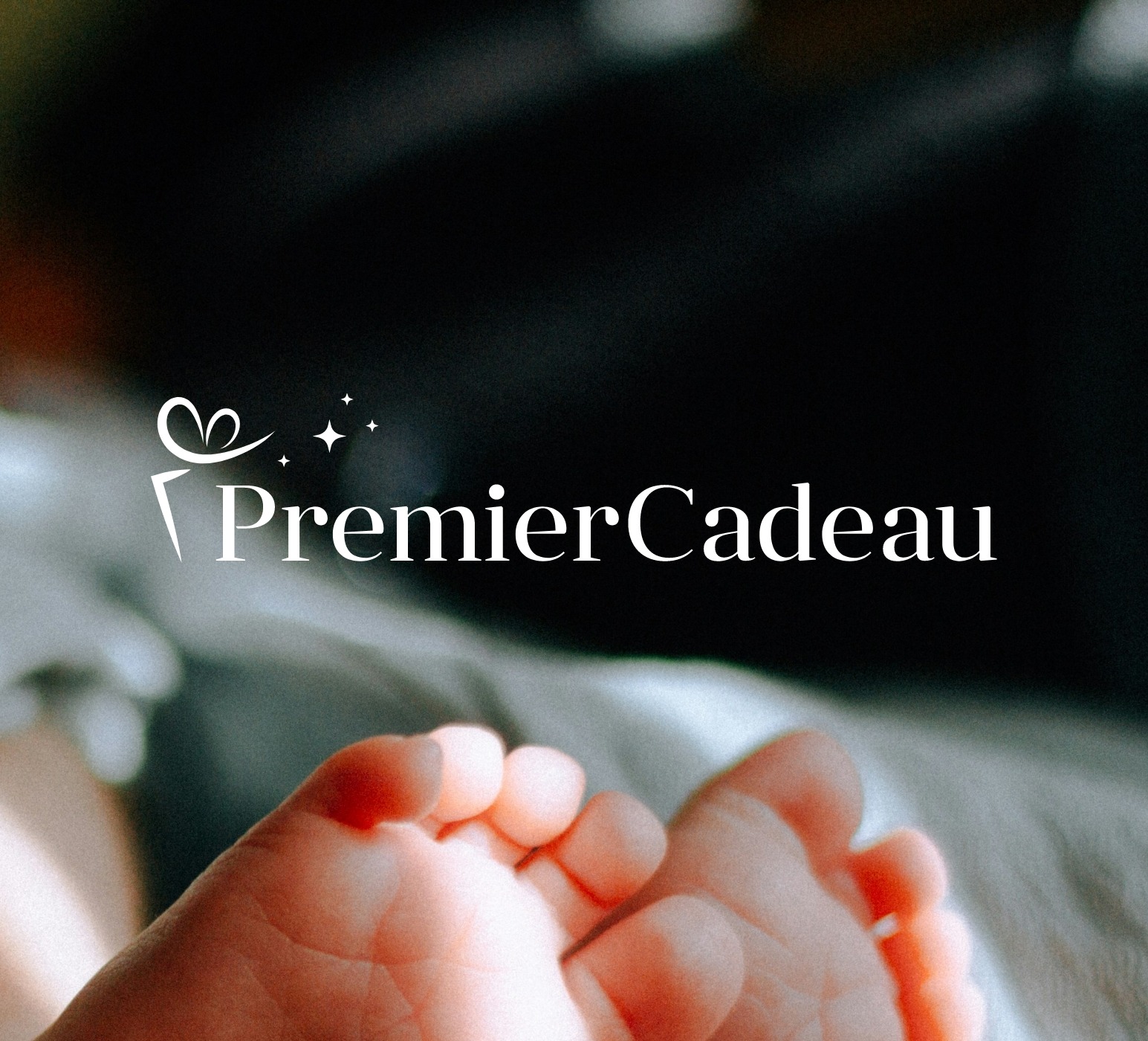 Projet identité de marque - PremierCadeau