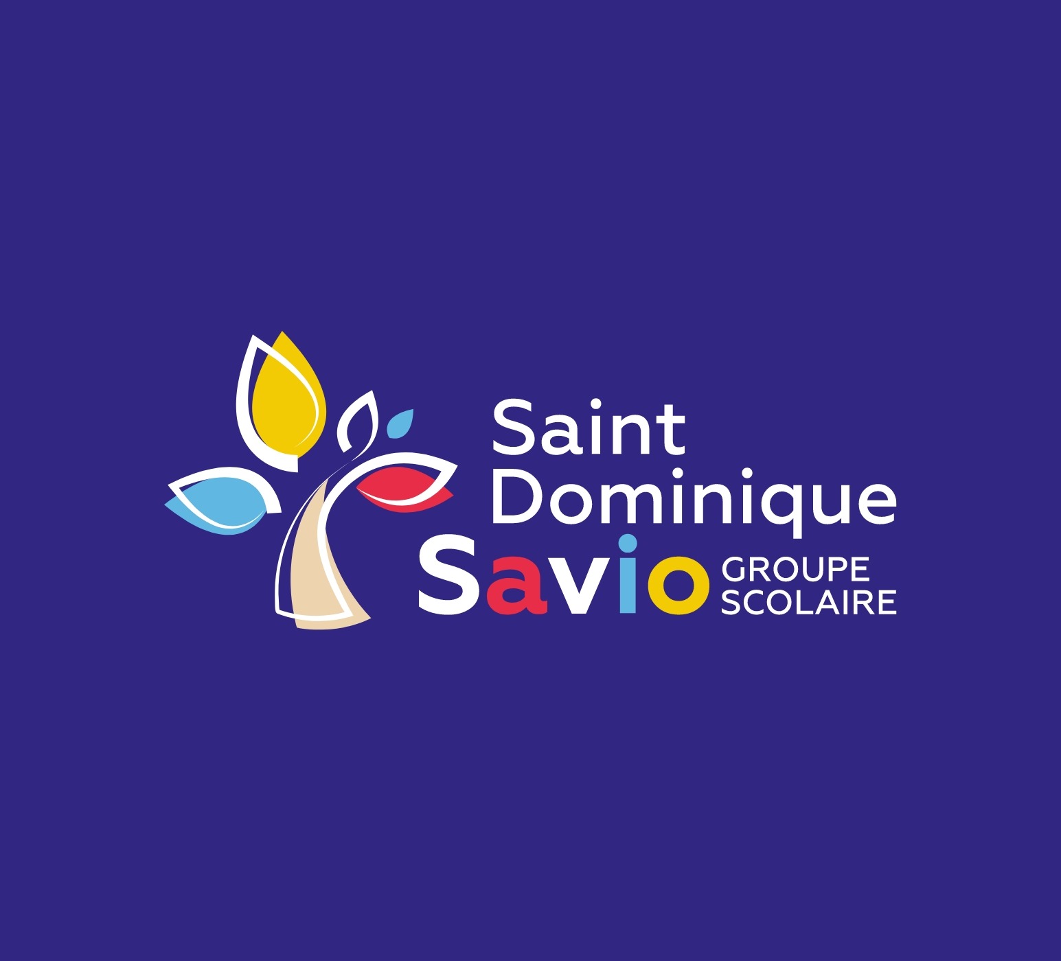 Projet identité de marque - Saint Dominique Savio