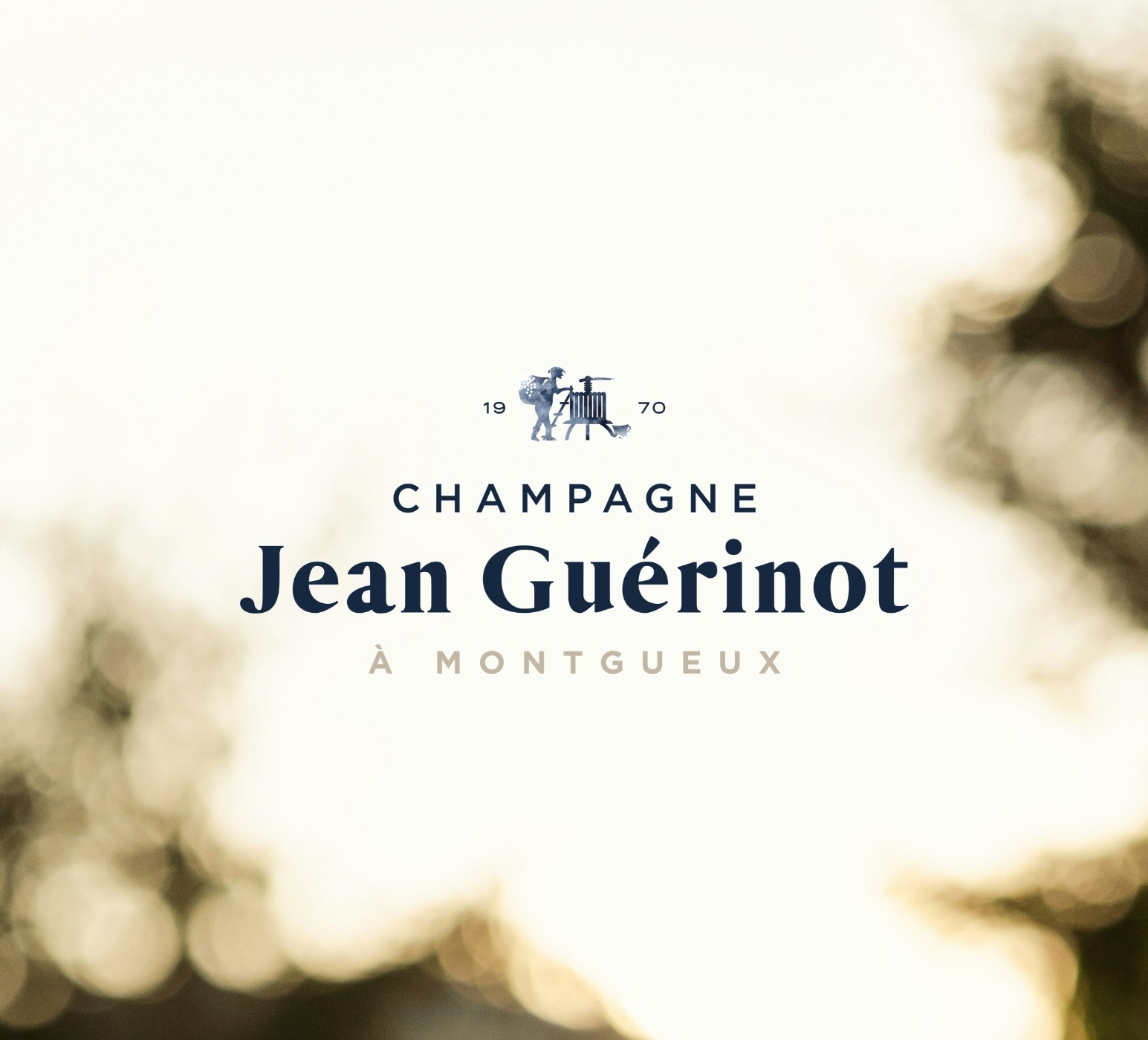 Projet identité de marque - Champagne Jean Guérinot
