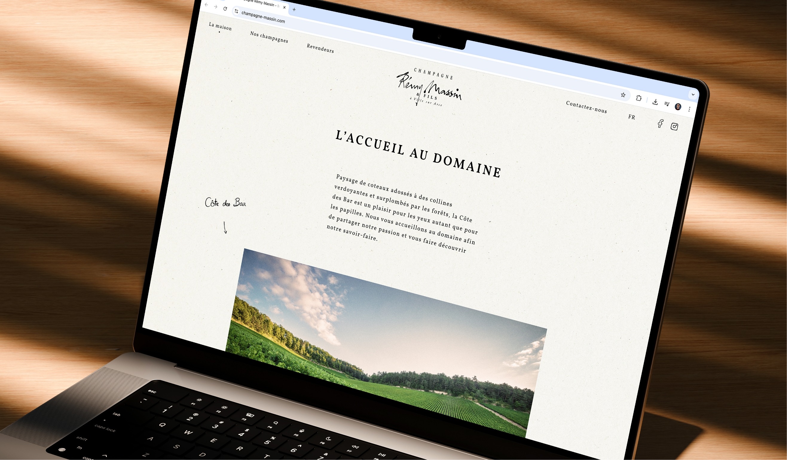Présentation projet Champagne Rémy Massin