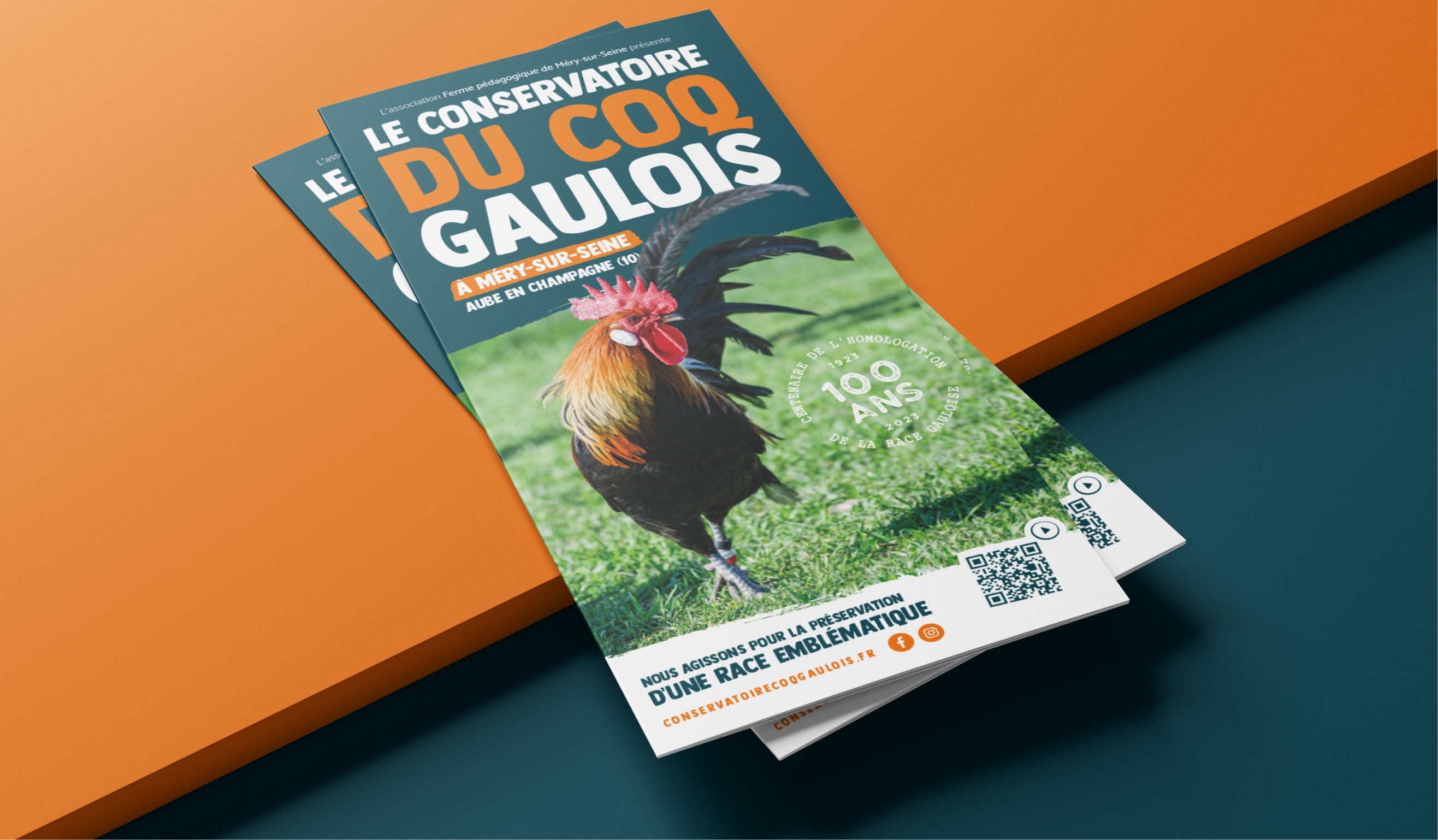 Présentation projet Conservatoire du Coq Gaulois