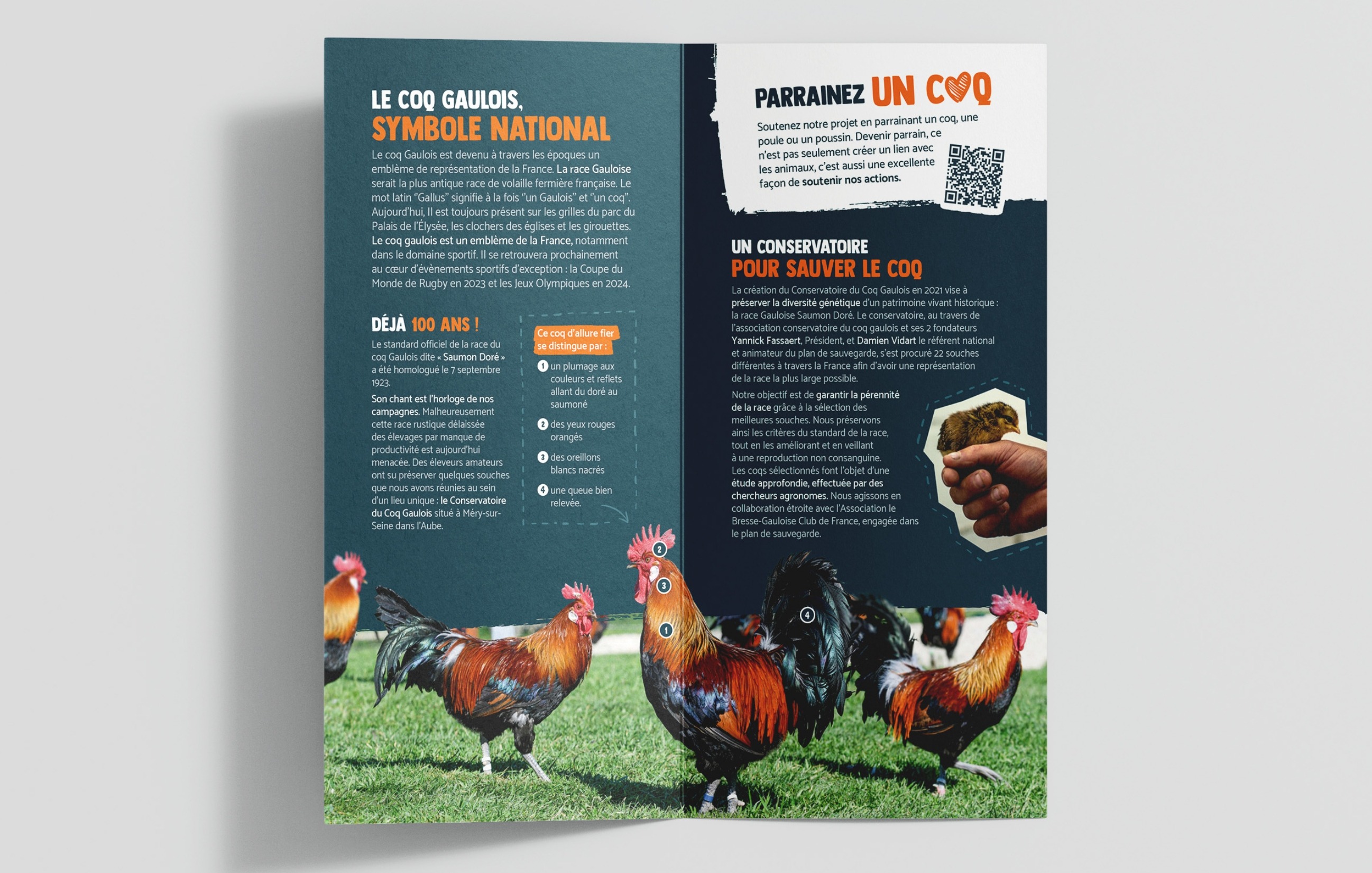 Dépliant du Conservatoire du Coq Gaulois