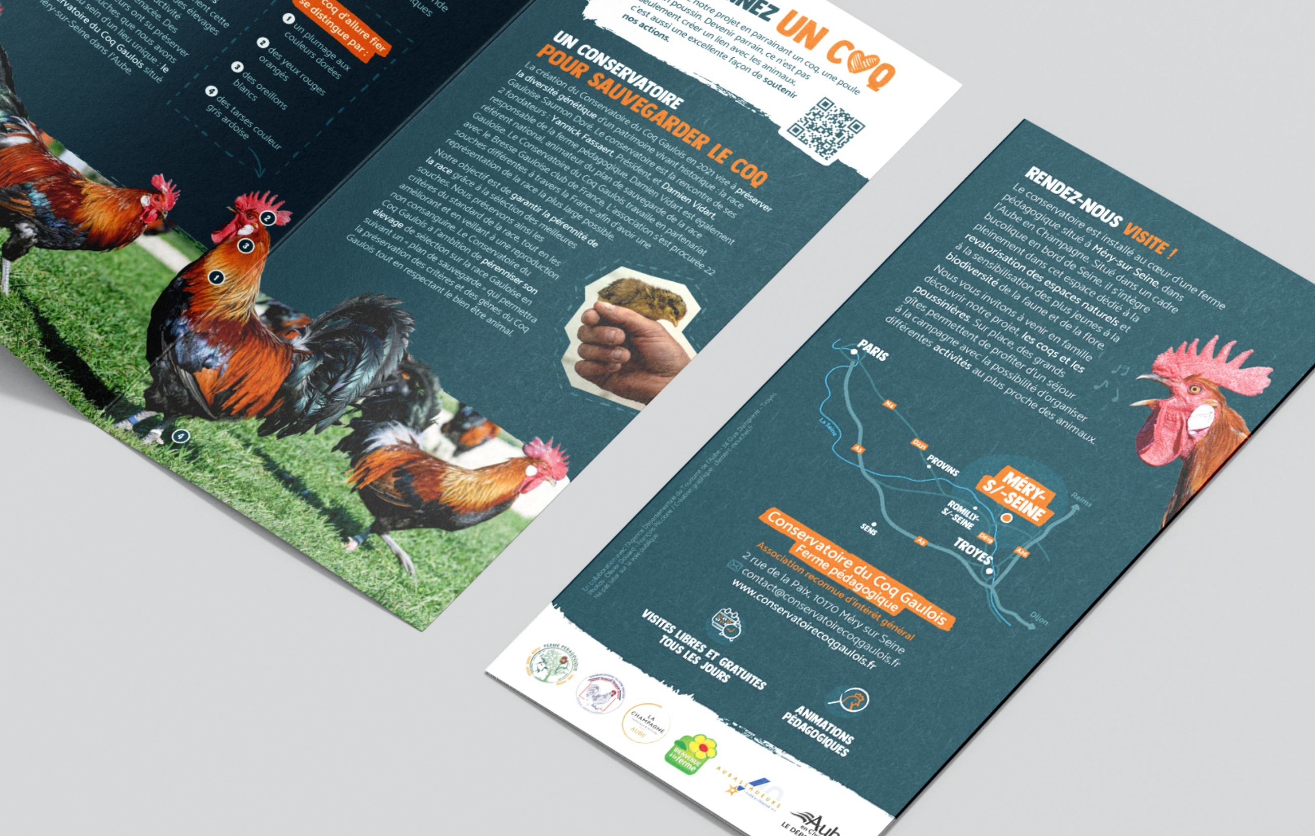 Dépliant du Conservatoire du Coq Gaulois