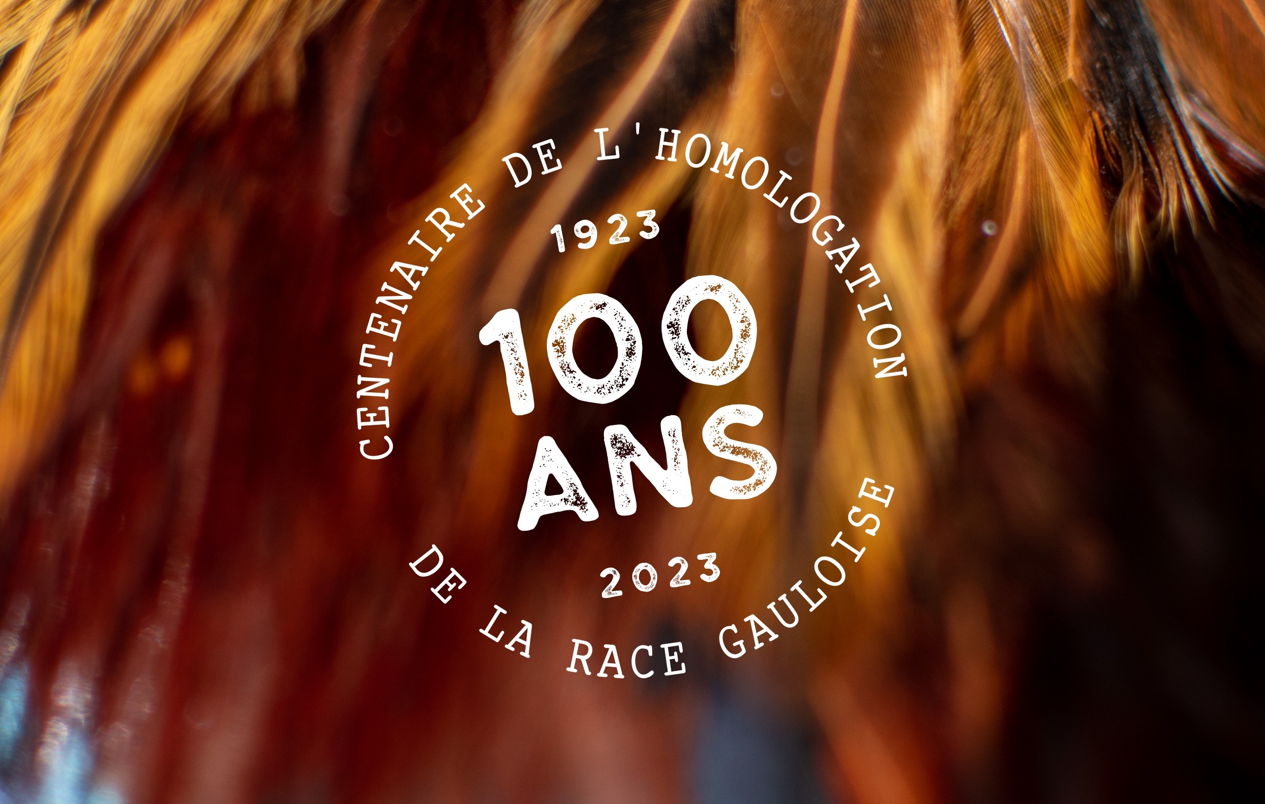 Logo des 100 ans du Conservatoire du Coq Gaulois