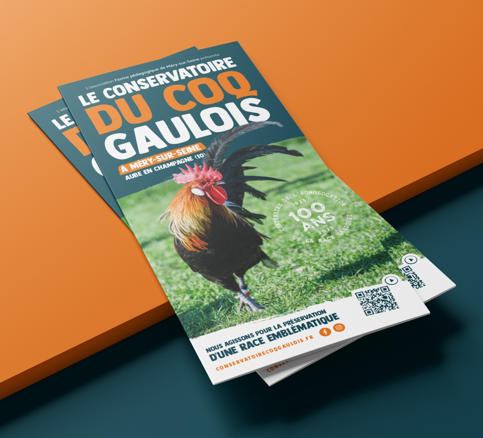Projet supports de communication - Le conservatoire du coq gaulois